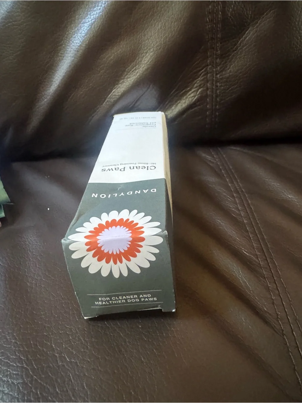 DANDYLION Clean Paws No-Rinse Foaming Cleanser - Green & White